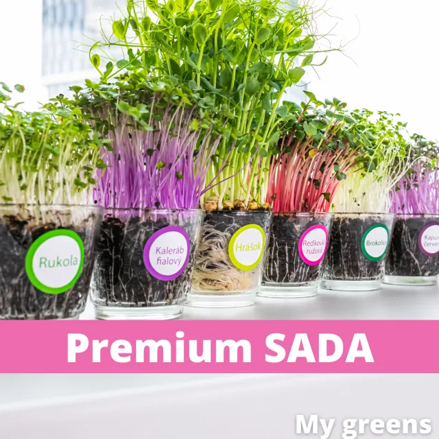 Sada na pěstování microgreens PREMIUM
