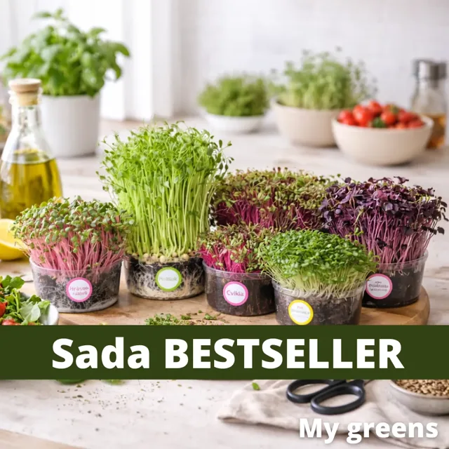 Sada na pěstování mikrozeleniny BESTSELLER