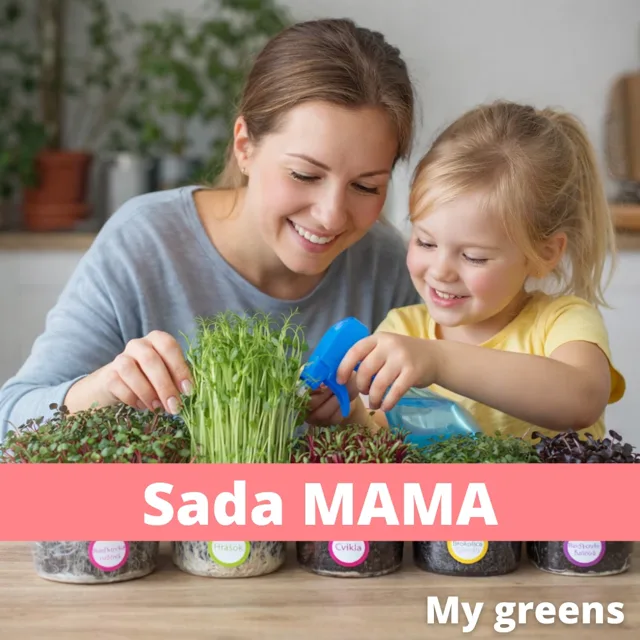 Sada na pěstování mikrozeleniny MAMA