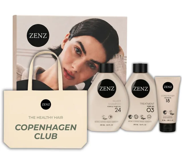 Sada pro neutralizaci žlutých tónů blond a melírovaných vlasů Zenz Silver + dárek zdarma