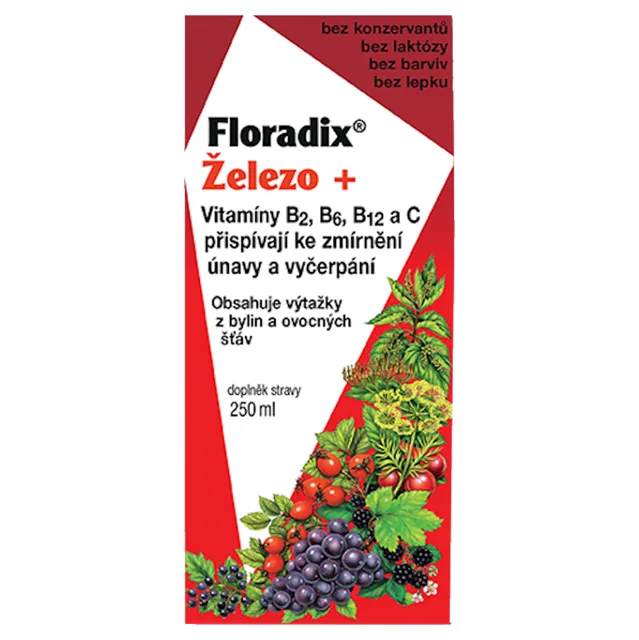 SALUS Floradix železo+ sirup 250 ml