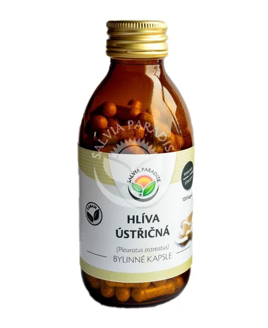 Salvia Paradise Hlíva ústřičná kapsle 120ks