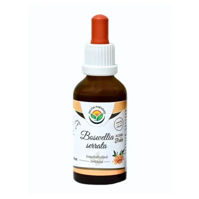 Salvia Paradise Kadidlovník pilovitý (Boswellia) tinktura bez alkoholu, 50 ml