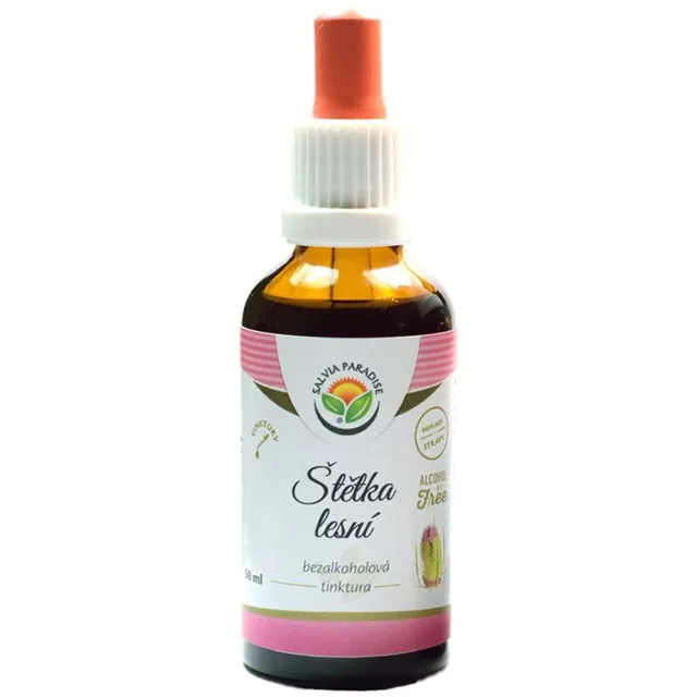 Salvia Paradise Štětka lesní bezalkoholová tinktura tinktura pro podporu imunitního systému 50 ml