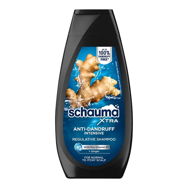 SCHAUMA Men Anti-Dandruff Intensive Šampon proti lupům 350 ml