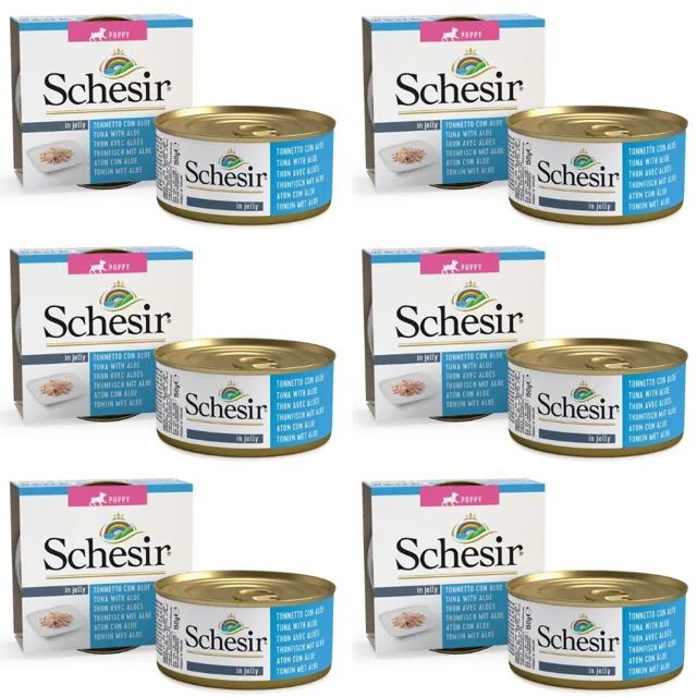 SCHESIR Tuňák s aloe pro štěňata 6x150g