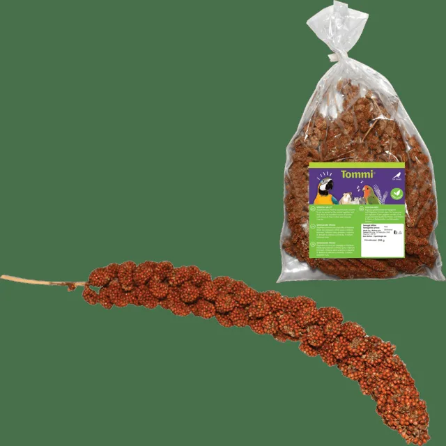 Senegalské proso klásky červené 200g