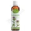 Serafin Ostropestřec tinktura z bylin 50ml