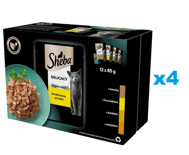 SHEBA Delicacy drůbeží kapsičky 48x85 g kompletní krmivo pro dospělé kočky v kouscích želé s: kachna, kuřecí maso, drůbež, krůta
