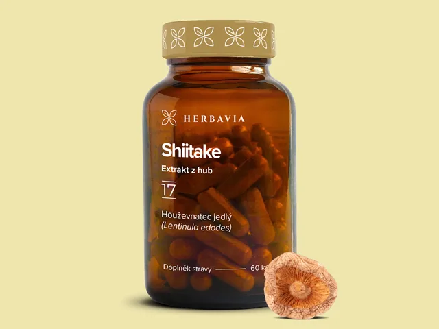 Shiitake  extrakt z hub - 60 kapslí