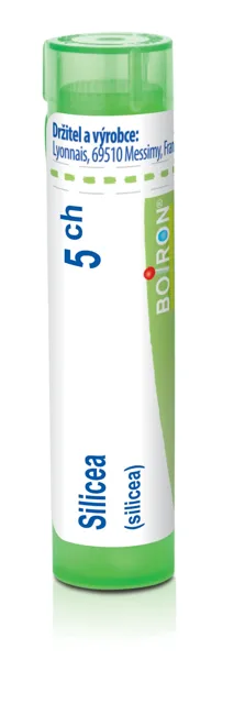 Silicea por.gra.4 g 5CH