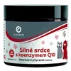 Silné Srdce s Q10 s příchutí masa tbl.100 Galmed