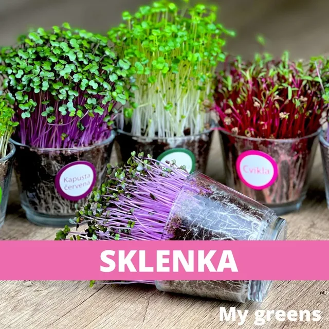 Sklenička na pěstování microgreens