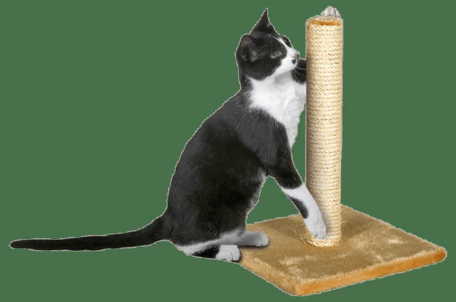 Škrabadlo Magic Cat Nora béžové 39cm