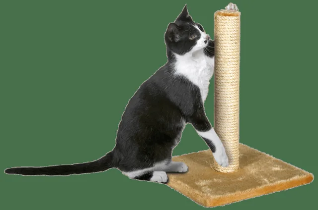 Škrabadlo Magic Cat Nora béžové 59cm