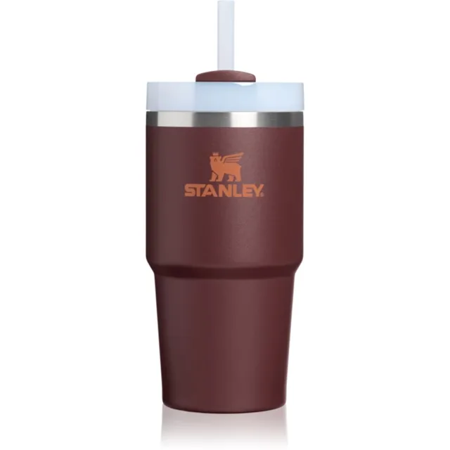 Stanley Quencher H2.O FlowState™ Tumbler nerezový tumbler s brčkem malý coffee 1 ks