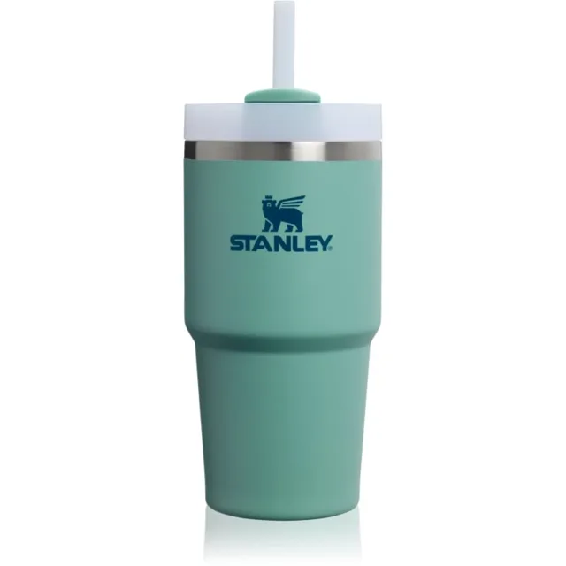 Stanley Quencher H2.O FlowState™ Tumbler nerezový tumbler s brčkem malý Spring Green 1 ks