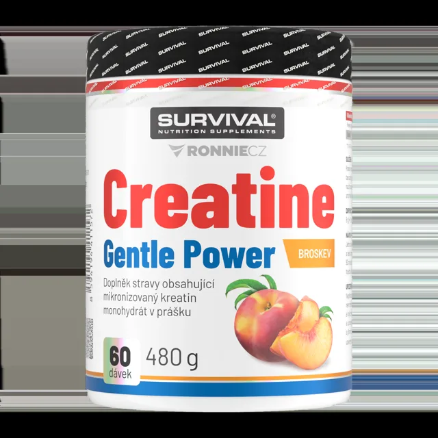 Survival Creatine Monohydrate Gentle Power 480 g marakuja