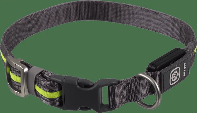 Svítící USB LED obojek Dog Fantasy M-L zelený