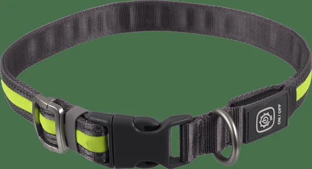 Svítící USB LED obojek Dog Fantasy S-M zelený