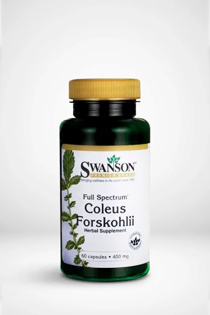 Swanson Coleus Forskholi
