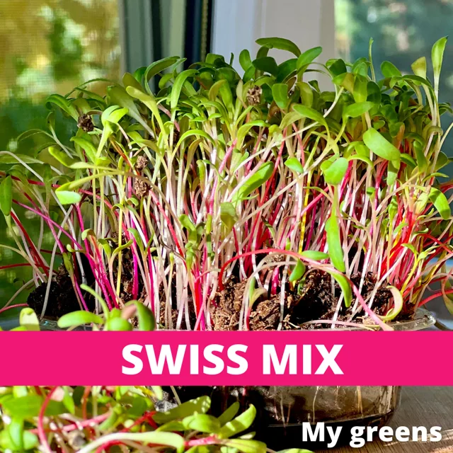 SWISS MIX 30g