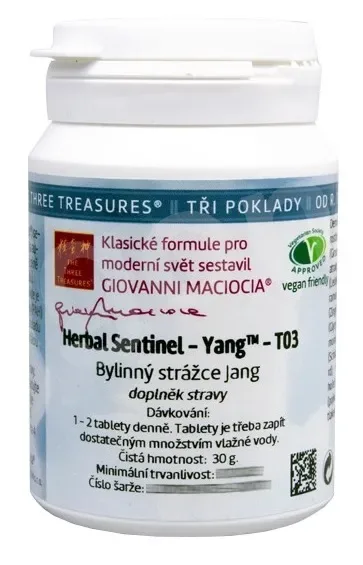 T03 - Bylinný strážce jang 60 tbl