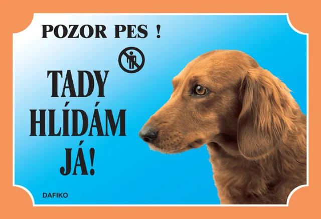 Tabulka Dafiko jezevčík dlouhosrstý