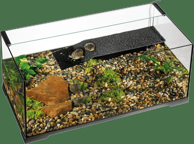 Terárium Exo Terra Turtle Haven pro vodní želvy