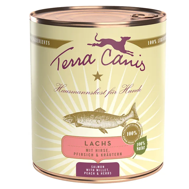 Terra Canis 12 x 800 g výhodné balení  - losos s prosem, broskví a bylinkami