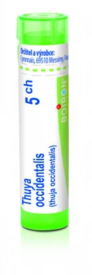 Thuya Occidentalis 5CH gra.4g