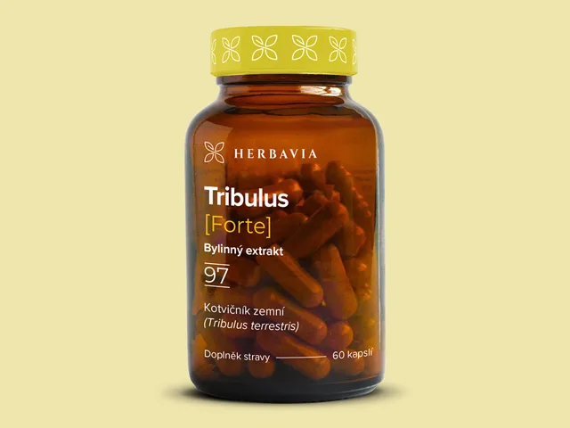 Tribulus forte -  bylinný extrakt 90% saponinů - 60 kapslí