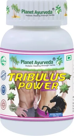 Tribulus Power - 500 mg, 60 kapslí