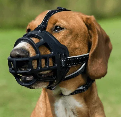 TRIXIE Náhubek Muzzle Flex Silikonový M–L
