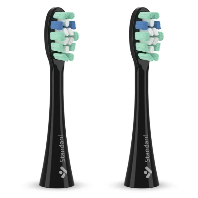 TRUELIFE SonicBrush Clean náhradní hlavice standard černá 2 kusy