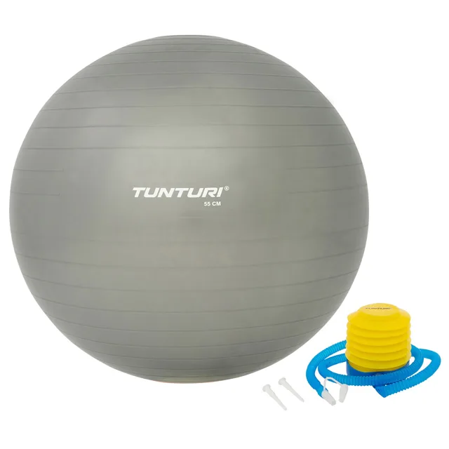 Tunturi Gymnastický míč s pumpičkou stříbrný varianta 90 cm