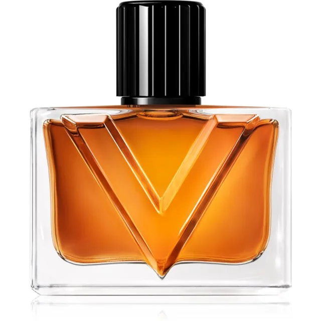 Valentino Vendetta Uomo parfémovaná voda pro muže 50 ml