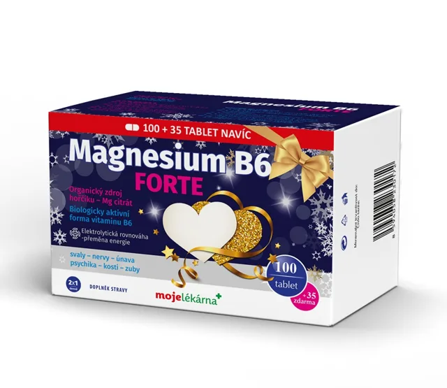 Vánoční balení ML Magnesium B6 Forte tbl.100+35