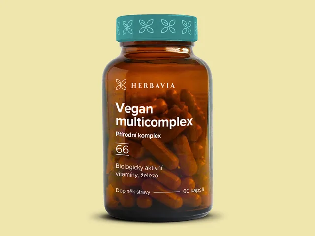 Vegan komplex  - železo - multivitamín  - 60 kapslí