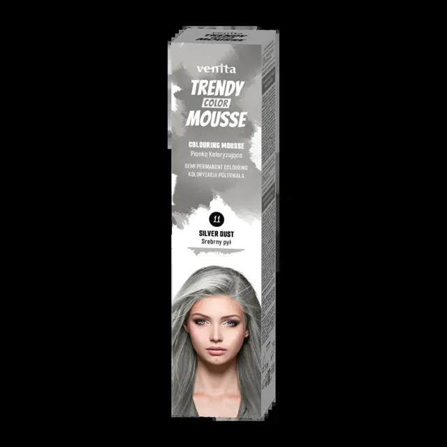 Venita Barevné tužidlo Trendy Color Mousse Silver Dust 75 ml