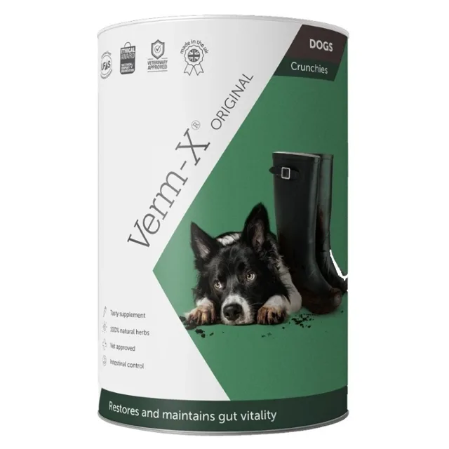 VERM-X Přírodní granule proti střevním parazitům pro psy 100 g