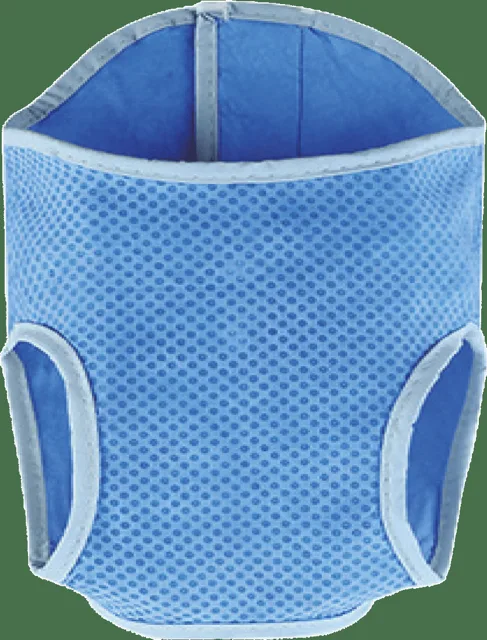 Vesta Dog Fantasy chladící S 25cm
