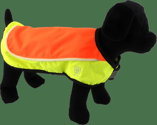 Vesta Dog Fantasy LED reflexní nabíjecí L