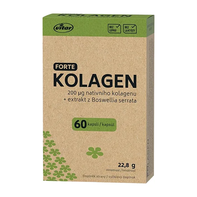VITAR EKO Kolagen forte 60 kapslí