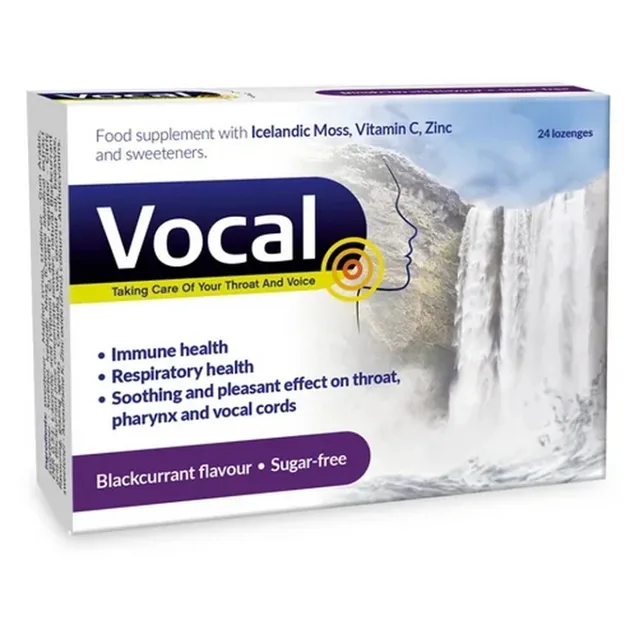 VOCAL HA pastilky bez cukru s příchutí černý rybíz 24 ks