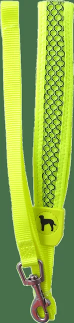 Vodítko Active Dog Mellow S limetka 1,5x150cm