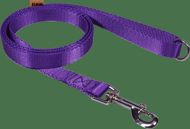Vodítko BaF nylon fialové 2,5x150cm