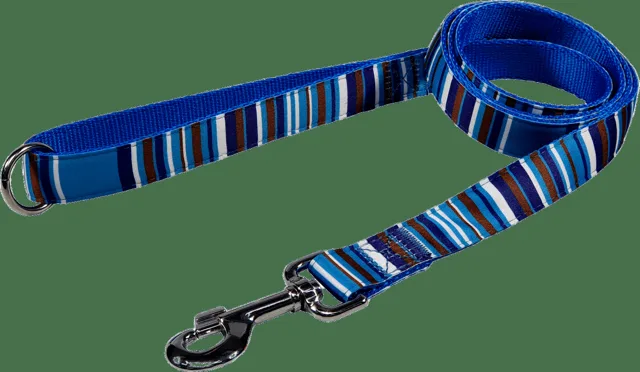 Vodítko BaF nylon proužky modré 2,5x150cm