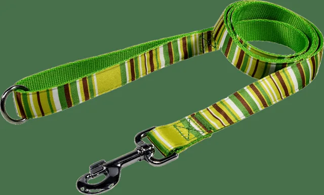 Vodítko BaF nylon proužky zelené 2,5x150cm