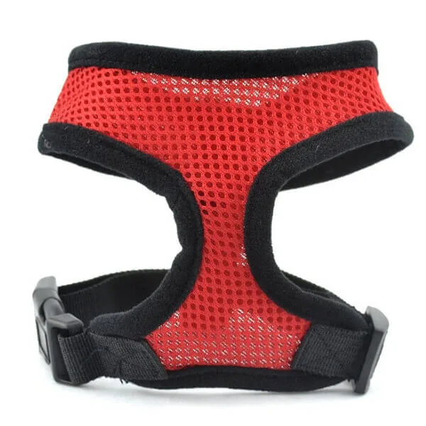 Vsepropejska Airy prodyšné kšíry pro psa | 22 – 59 cm Barva: Červená, Obvod hrudníku: 22 - 26 cm